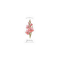 August Gladiolus Birth Flower Sticker | Botanical, Watercolor, Personalized Name